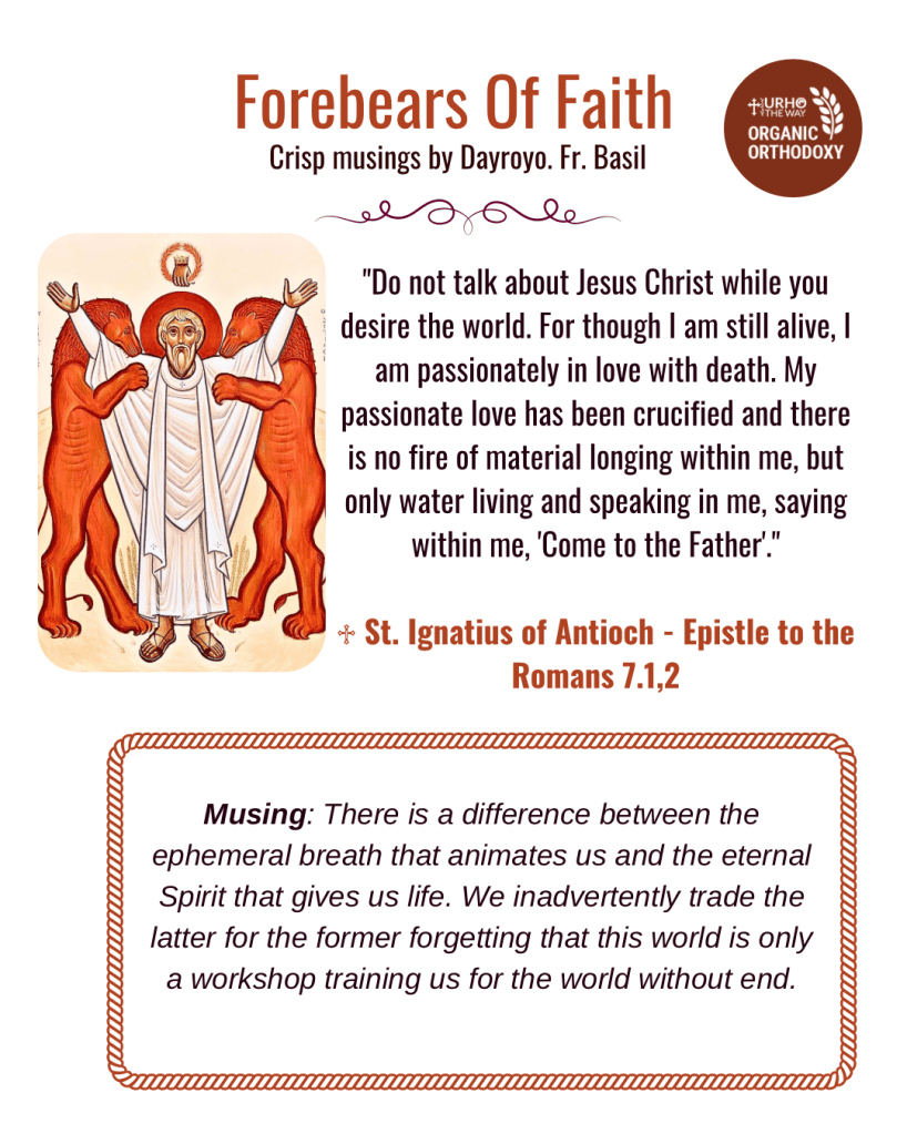 Forebears Of Faith – 14
